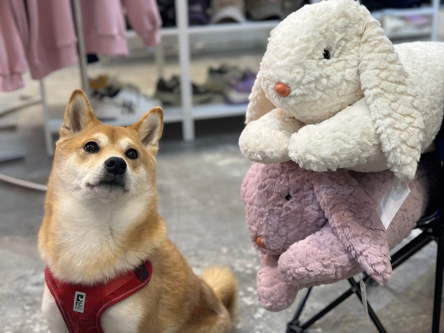 RABBIT PLUSH TOY/ PLUSH PILLOW