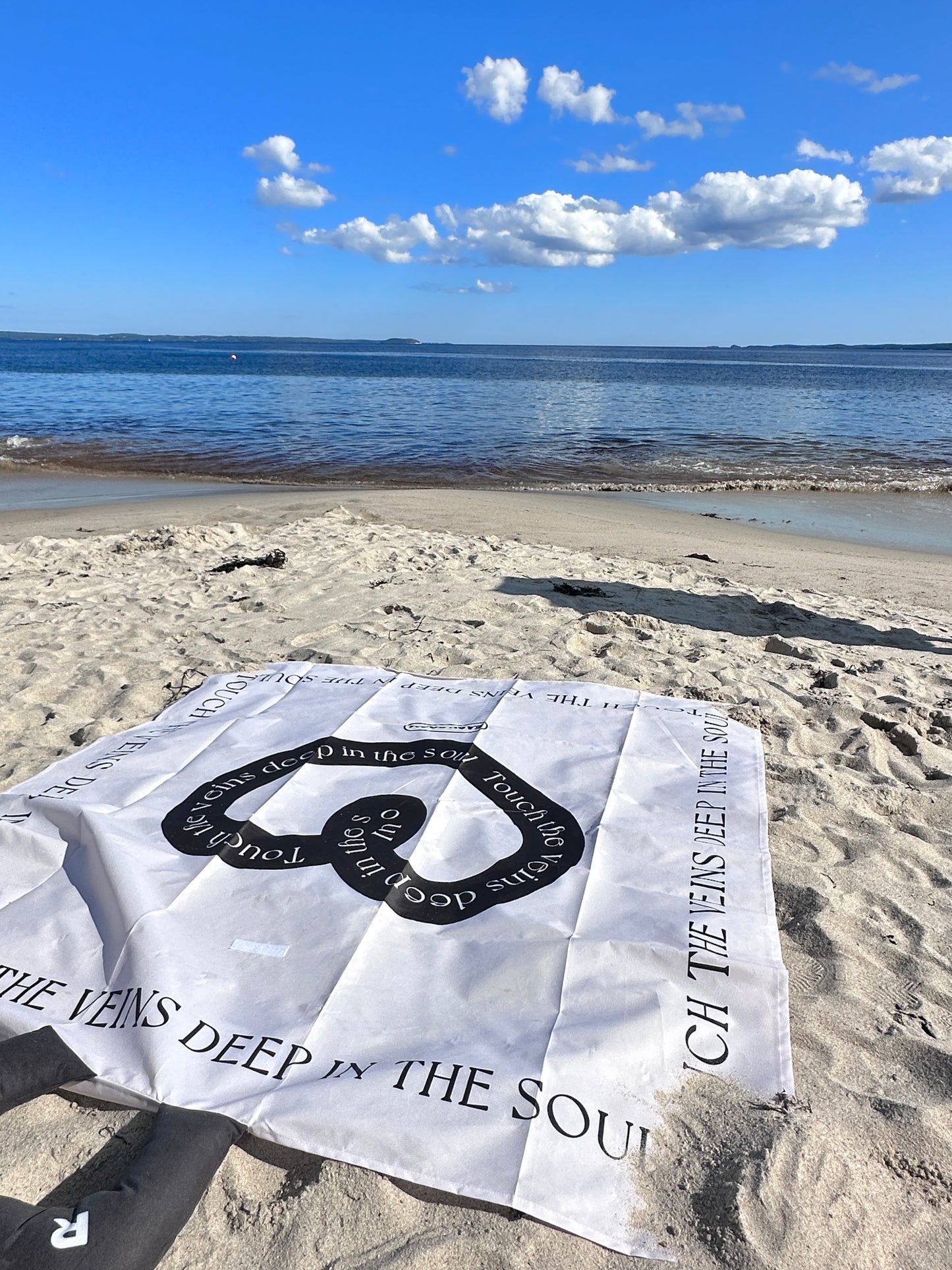 PICNIC MAT