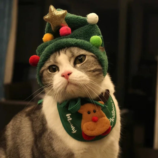 CHRISTMAS PET HAT