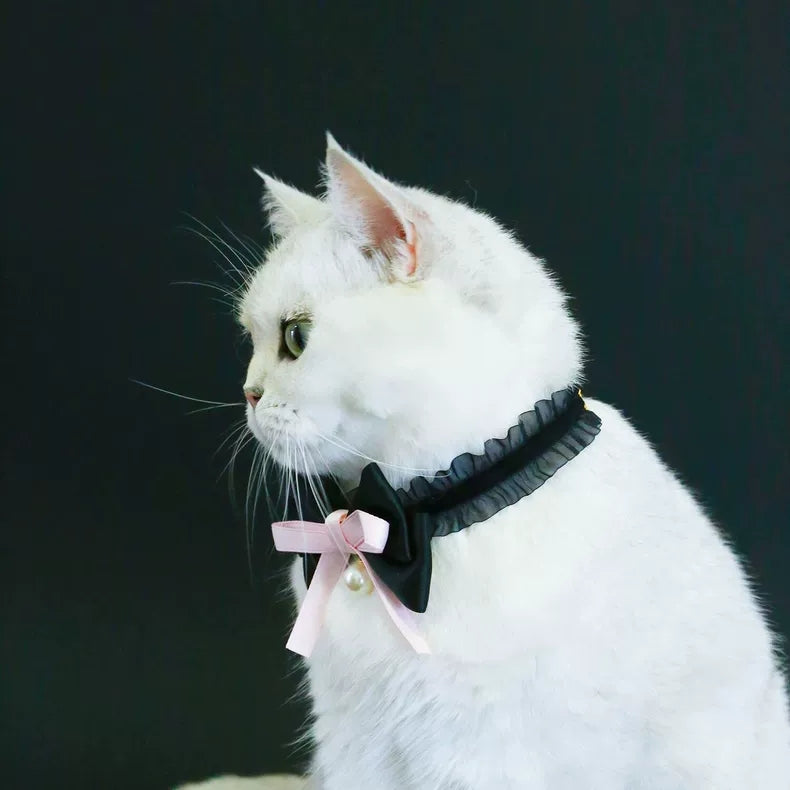 PET COLLAR