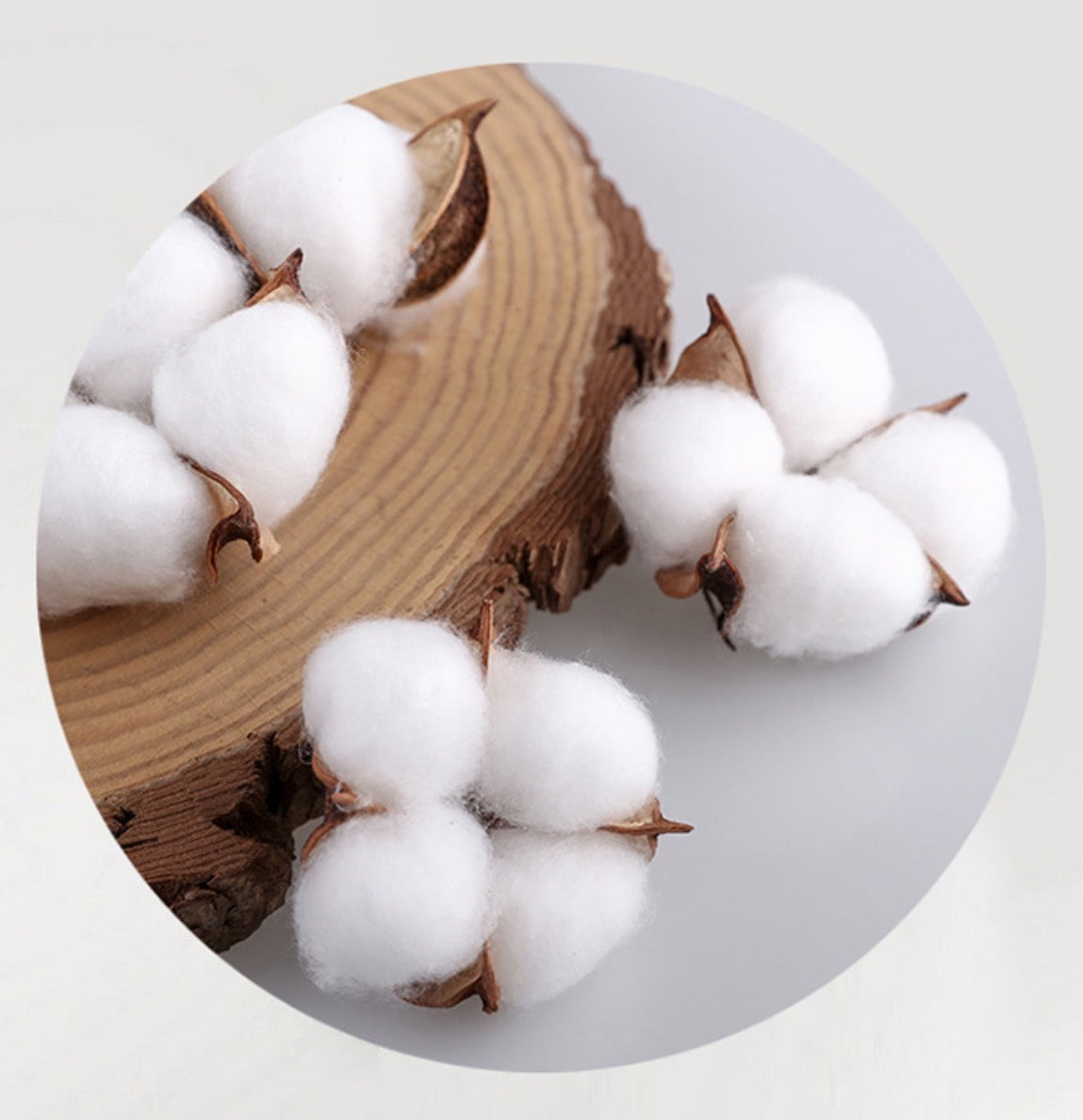 BLUE RIBBON BEDDING SET